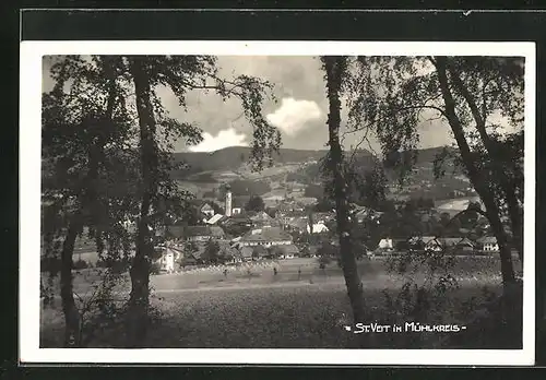 AK St. Veit im Mühlkreis, Panoramablick auf den Ort