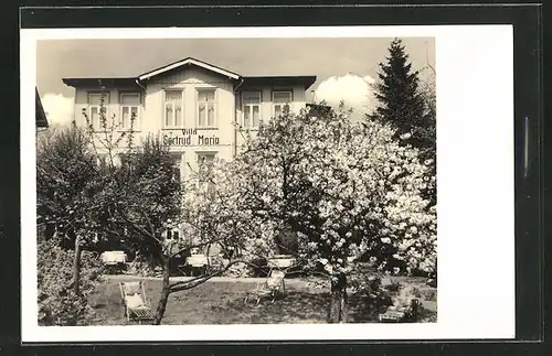 AK Hahnenklee / Harz, Hotel und Gästeheim Villa Gertrud-Maria