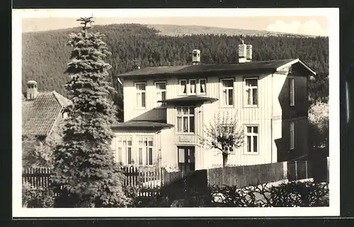 AK Hahnenklee / Harz, Hotel und Gästeheim Villa Gertrud-Maria