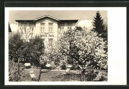 AK Hahnenklee / Harz, Hotel und Gästeheim Villa Gertrud-Maria