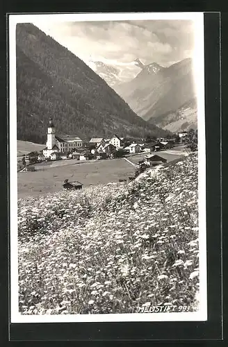 AK Neustift, Panoramablick von der Blumenwiese