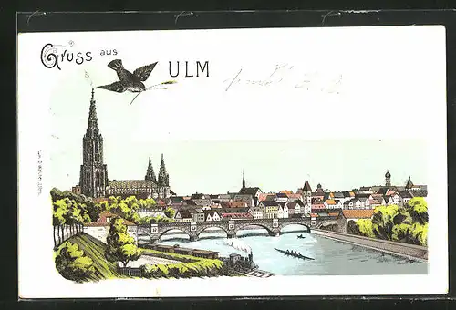 Lithographie Ulm / Donau, Totalansicht