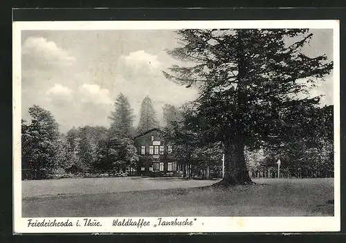 AK Friedrichroda i. Thür., Waldcafé Tanzbuche