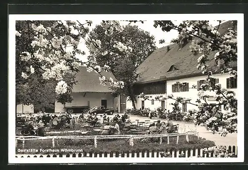 AK Grünwald, Gasthaus Forsthaus Wörnbrunn
