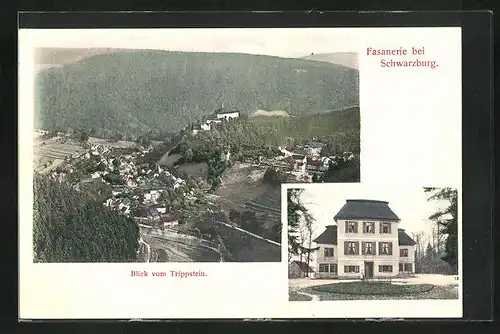 AK Schwarzburg, Gasthaus Fasanerie, Totale vom Trippstein gesehen