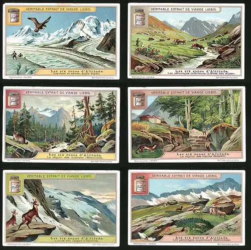 6 Sammelbilder Liebig, Serie Nr. 1108: Les six zones d`Altitude, Limite des neiges, La région des hêtres, Gletscher