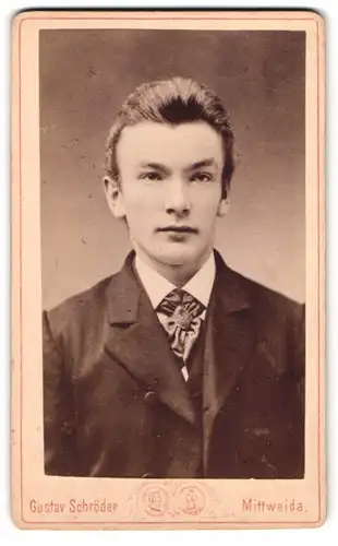 Fotografie Gustav Schröder, Mittweida, Rochlitzer-Str. 234, Portrait junger Mann im Anzug mit Fliege