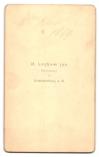 Fotografie H. Leykum jun. Brandenburg a. H., Portrait Mme. Klein im Kleid mit Kleinkind auf dem Schoss