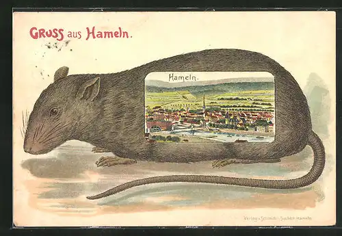Passepartout-Lithographie Hameln, Teilansicht in einer Ratte