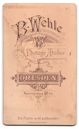 Fotografie B. Wehle, Dresden, Marienstr. 44, Portrait junge Dame mit Kragenbrosche & geflochtenem Haar