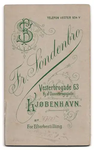 Fotografie Fr. Sondenbro, Kjöbenhavn, Vesterbrogade 63, junger Mann im Anzug mit Fliege