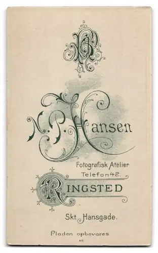 Fotografie N.P. Hansen, Ringsted, Portrait Herr mit Schnauzbart tzrägt Anzug und Krawatte