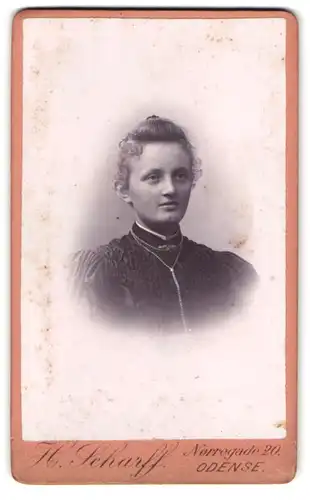 Fotografie H. Scharf, Odense, Norregade 20, Portrait junge Dame mit Brosche und Halskette