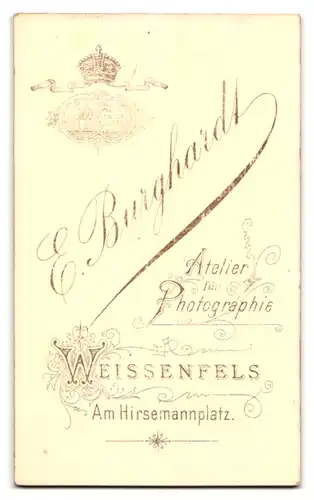 Fotografie E. Burghardt, Weissenfels, Am Hirsemannplatz, adretter Junge mit Schleife um Kragen