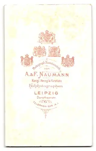 Fotografie A. & F. Naumann, Leipzig, Dorotheenstrasse 6, nette bürgerliche Dame in interessantem Kleid