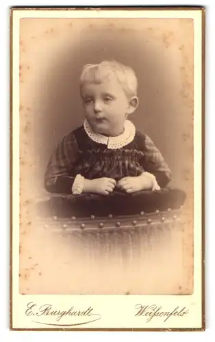 Fotografie E. Burghardt, Weissenfels, Saalstrasse 22, adrettes Kleinkind in Ferne schauend