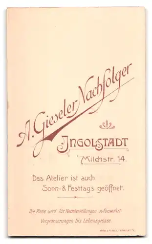 Fotografie A. Gieseler Nachfolger, Ingolstadt, Milchstrasse 14, Portrait junger Herr im Anzug mit Krawatte