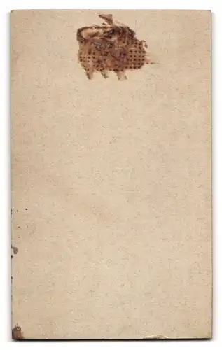 Fotografie Emil Schröter, Berlin-Spandau, Breitestrasse 32, Portrait junger Herr im Anzug mit Fliege