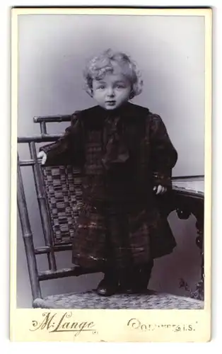 Fotografie M. Lange, Colditz i. S., Fürstenweg, niedliches Mädchen trägt Kleid mit Karomuster