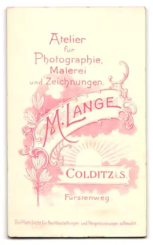 Fotografie M. Lange, Colditz i. S., Fürstenweg, niedliches Mädchen trägt Kleid mit Karomuster