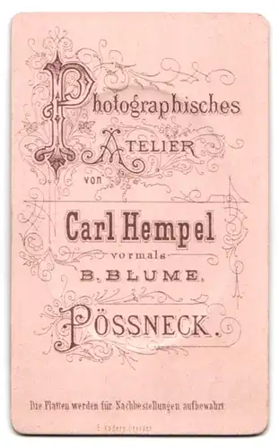 Fotografie Carl Hempel, Pössneck, Portrait Bursche im Anzug