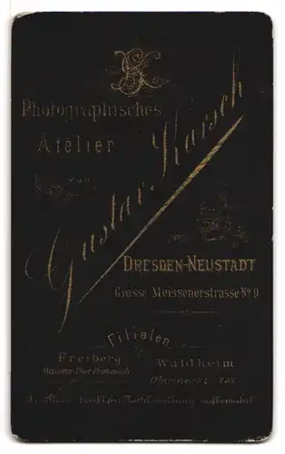 Fotografie Gustav Karsch, Dresden-Neustadt, Gr. Meissnerstr. 9, Dame im Tailierten Kleid mit Schleifen