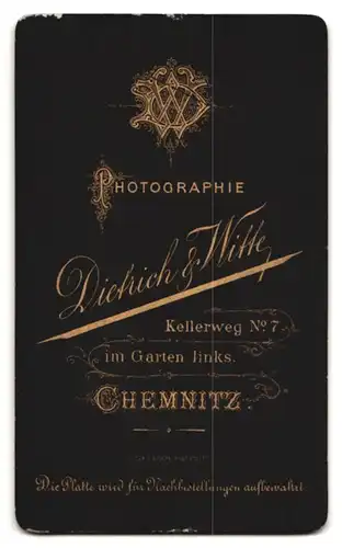 Fotografie Dietrich & Witte, Chemnitz, Kellerweg 7, hübsche brünette Dame mit Ansteckblumen