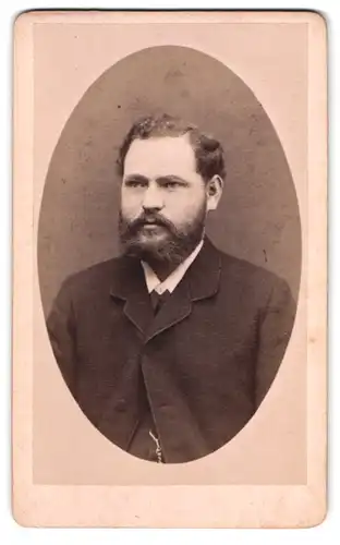Fotografie W. Schulze, Markneukirchen i. S., Obere Strasse 27, Portrait Herr mit Vollbart im Anzug