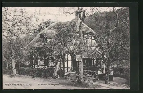 AK Gernrode /Harz, Gasthaus Talmühle im Hagenthal