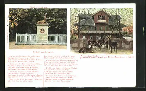 AK Thale, Dambachshaus, Pfeil`s Denkmal