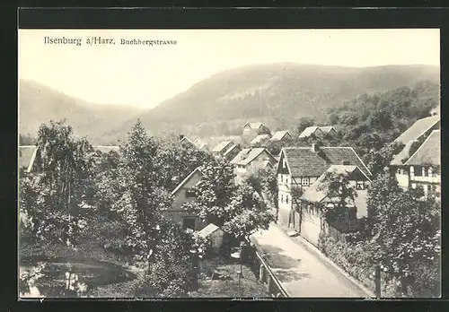 AK Ilsenburg a/Harz, Ansicht der Buchbergstrasse