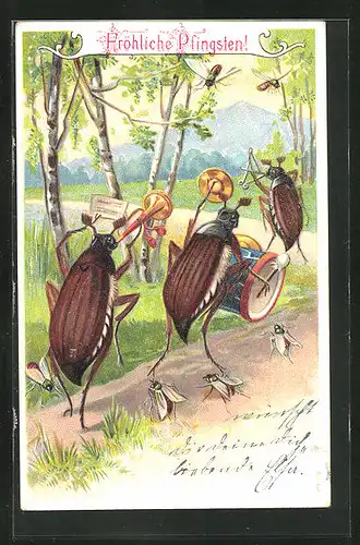 Präge-AK Musizierende Maikäfer auf einem Feldweg, Pfingstgruss