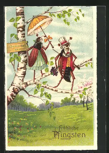 AK Maikäferpaar auf einem Baum, Pfingstgruss