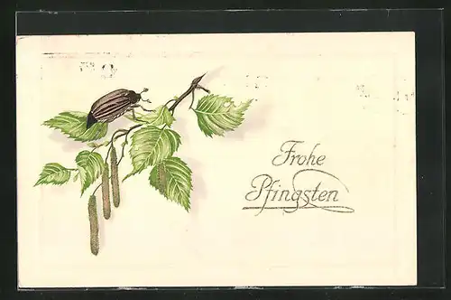 Präge-AK Pfingstgruss, Birkenzweig, Maikäfer