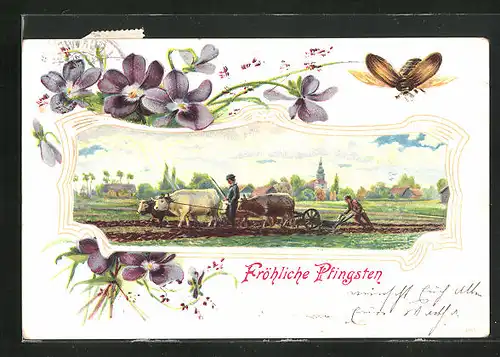 Passepartout-Lithographie Pfingstgruss, Maikäfer, Ochsengespann mit Pflug