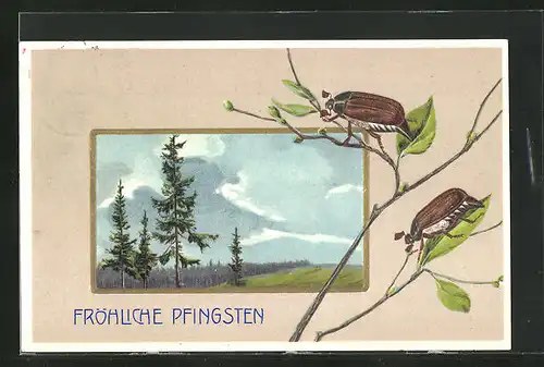 Präge-Künstler-AK Pfingstgruss, Maikäfer, Nadelbäume