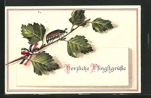 Künstler-AK Birkenzweig, Maikäfer, Pfingstgruss