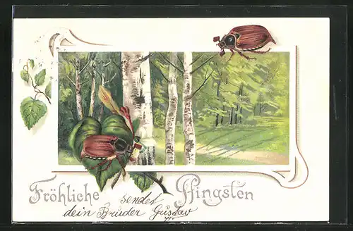 Passepartout-Lithographie Pfingstgruss, Birkenhain, Maikäfer