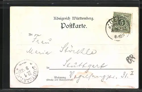 AK Ulm, II. Württemb. Katholikentag 1901, Flusspartie mit Münster
