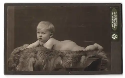 Fotografie Ph. Hofmann, Stollberg, Nackedei liegt auf einem Pelz