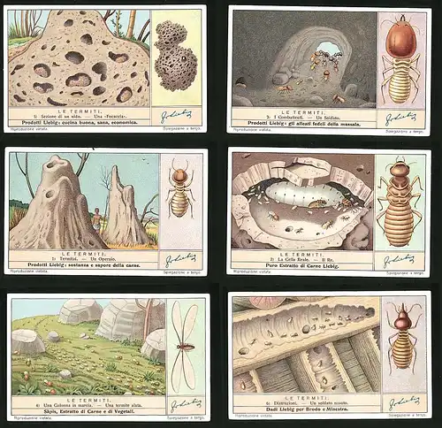 6 Sammelbilder Liebig, Serie Nr. 1364: Les Termiti, Distruzioni, Una termite alata, La Cella Reale, Termitai