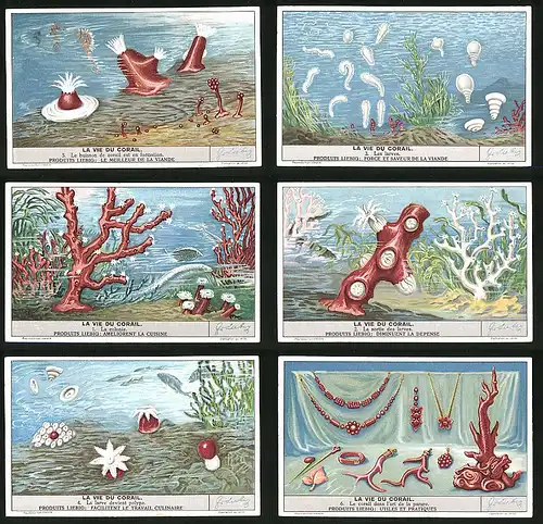 6 Sammelbilder Liebig, Serie Nr. 1411: La vie du Corail, Le corail dans l`art de la Parure, La sortie des larves