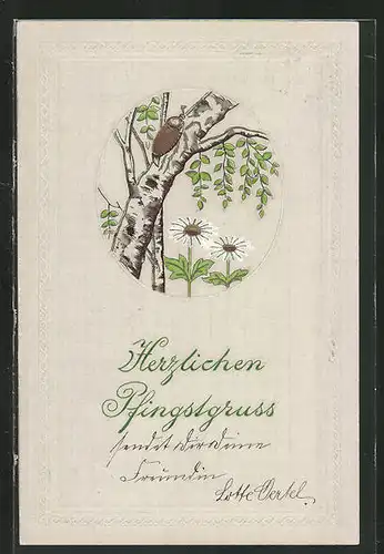 Präge-AK Maikäfer auf einem Baum & Gänseblumen, Pfingstgruss