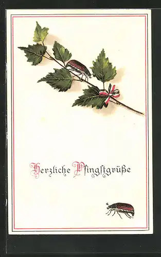 AK Maikäfer an einem Zweig mit Blättern und Fahnenband, Pfingstgruss