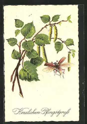 AK Maikäfer und Zweige mit Blättern, Pfingstgruss