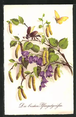 AK Maikäfer auf einem Zweig mit Blüten, Pfingstgruss