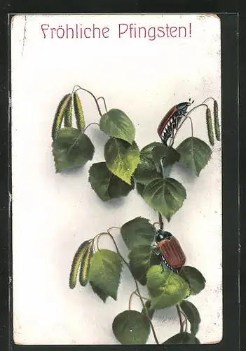 AK Zwei Maikäfer auf einem Zweig, Pfingstgruss