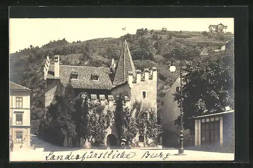 AK Meran, Landesfürstliche Burg
