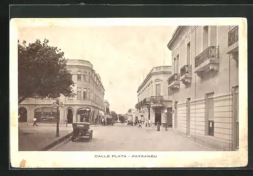 AK Paysandu, Calle Plata