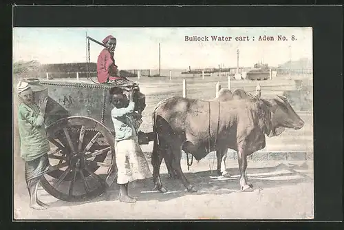 AK Aden, Bullock Water cart